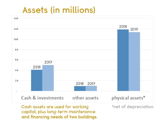 Bar chart of 2018 and 2019 assets