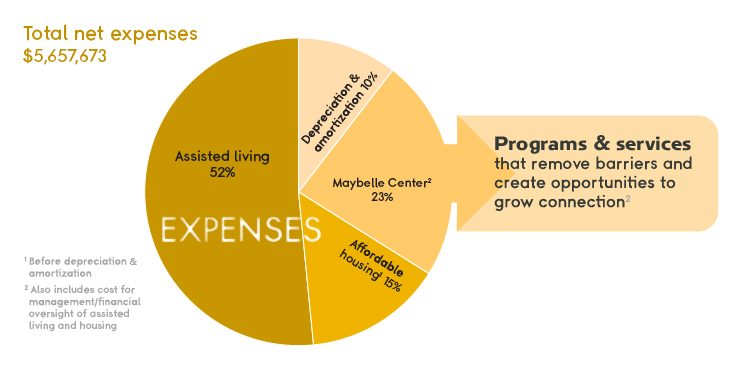 Pie graph of expenses in yellow