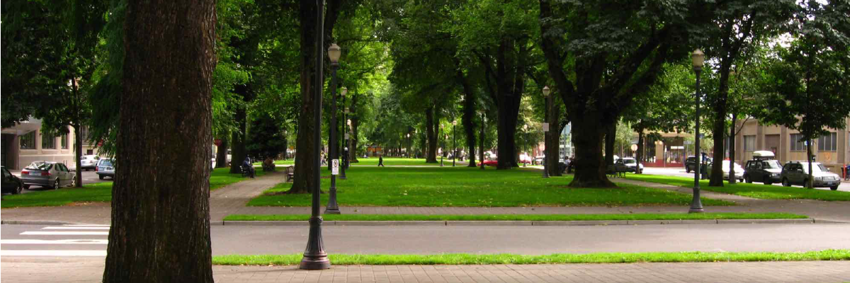 Urban park with green grass, trees, and a lamp post